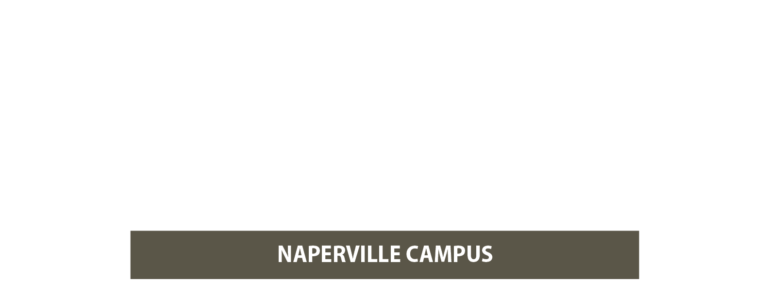 NPV CARE NIGHT