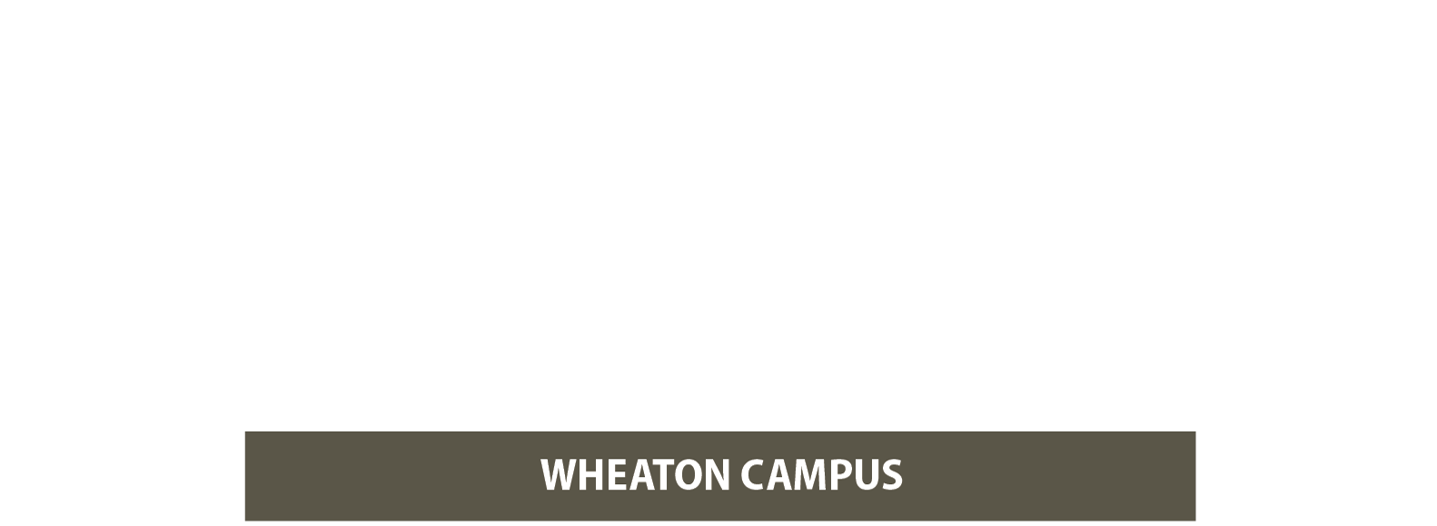 NPV CARE NIGHT