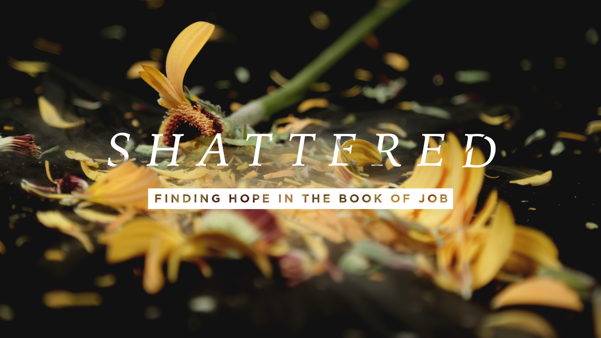 Shattered - Finding Hope in the Book of Job